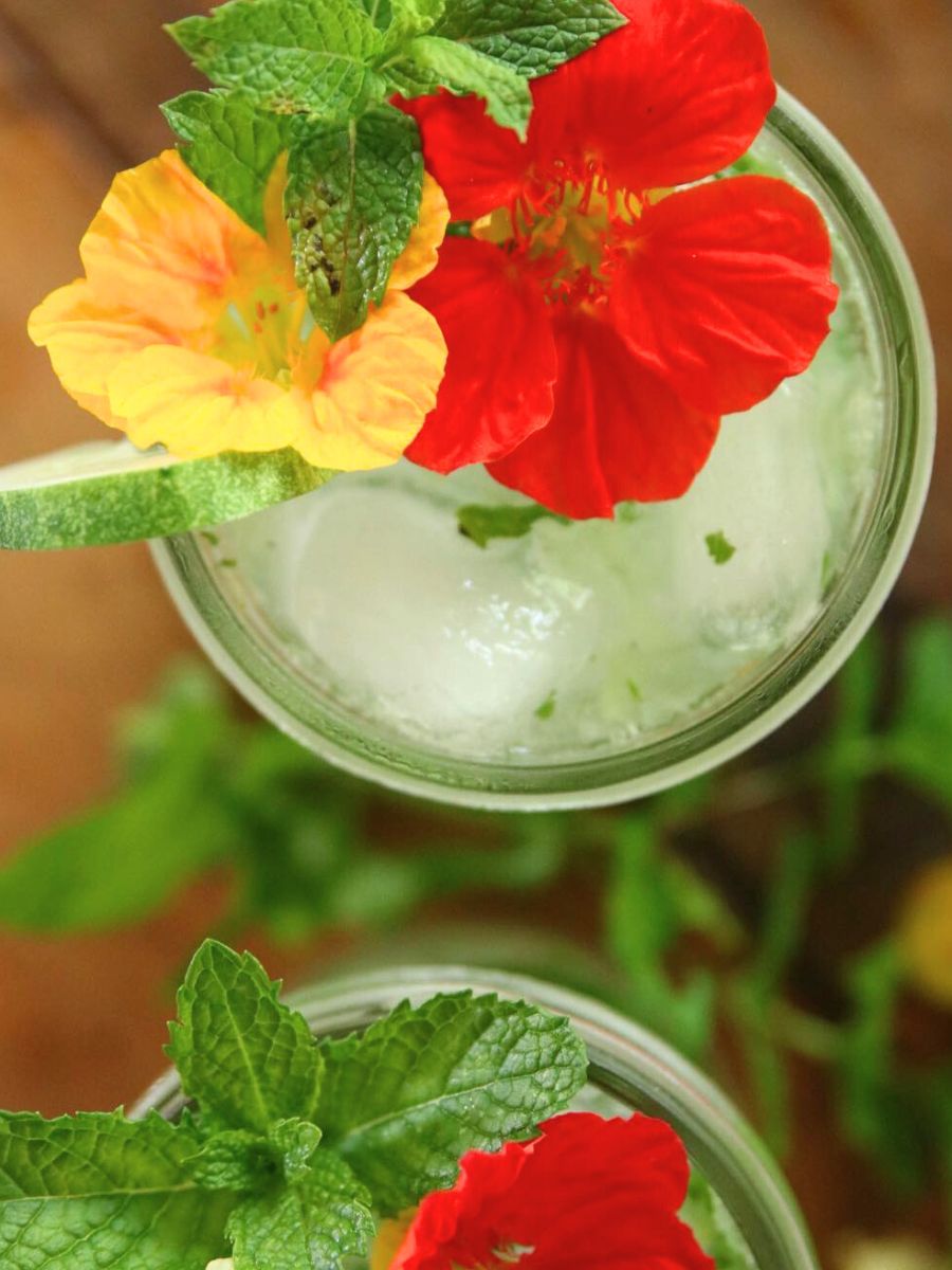 Gin and tonic topped with nasturtium flowers - one of edible flowers for cocktails