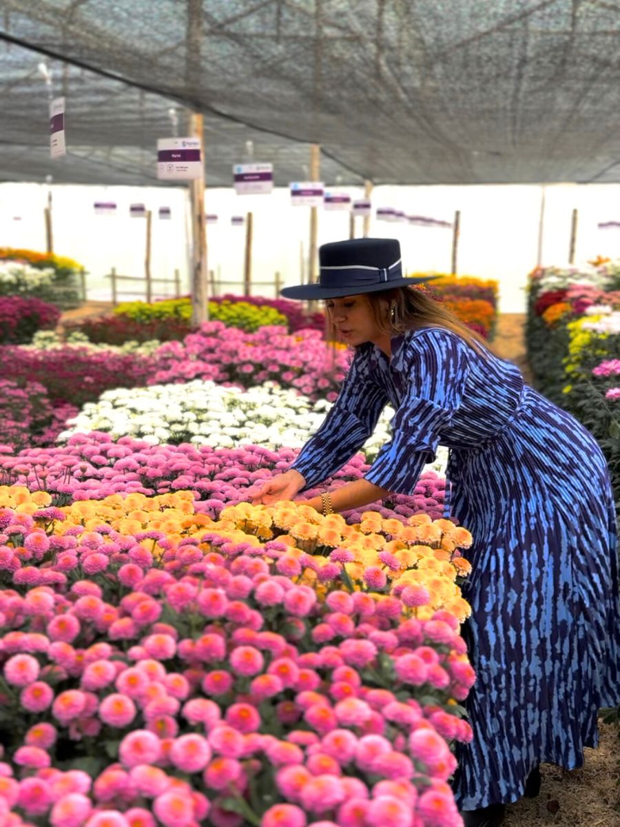 Shallima among colorful chrysanthemums at Floritec