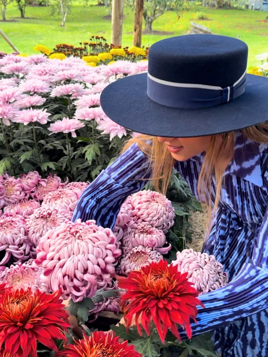 In between huge and colorful chrysanthemums