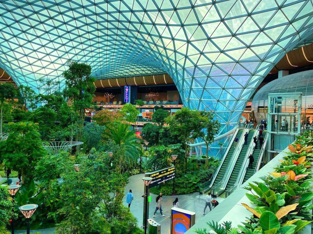 The orchard in the middle of the concourse