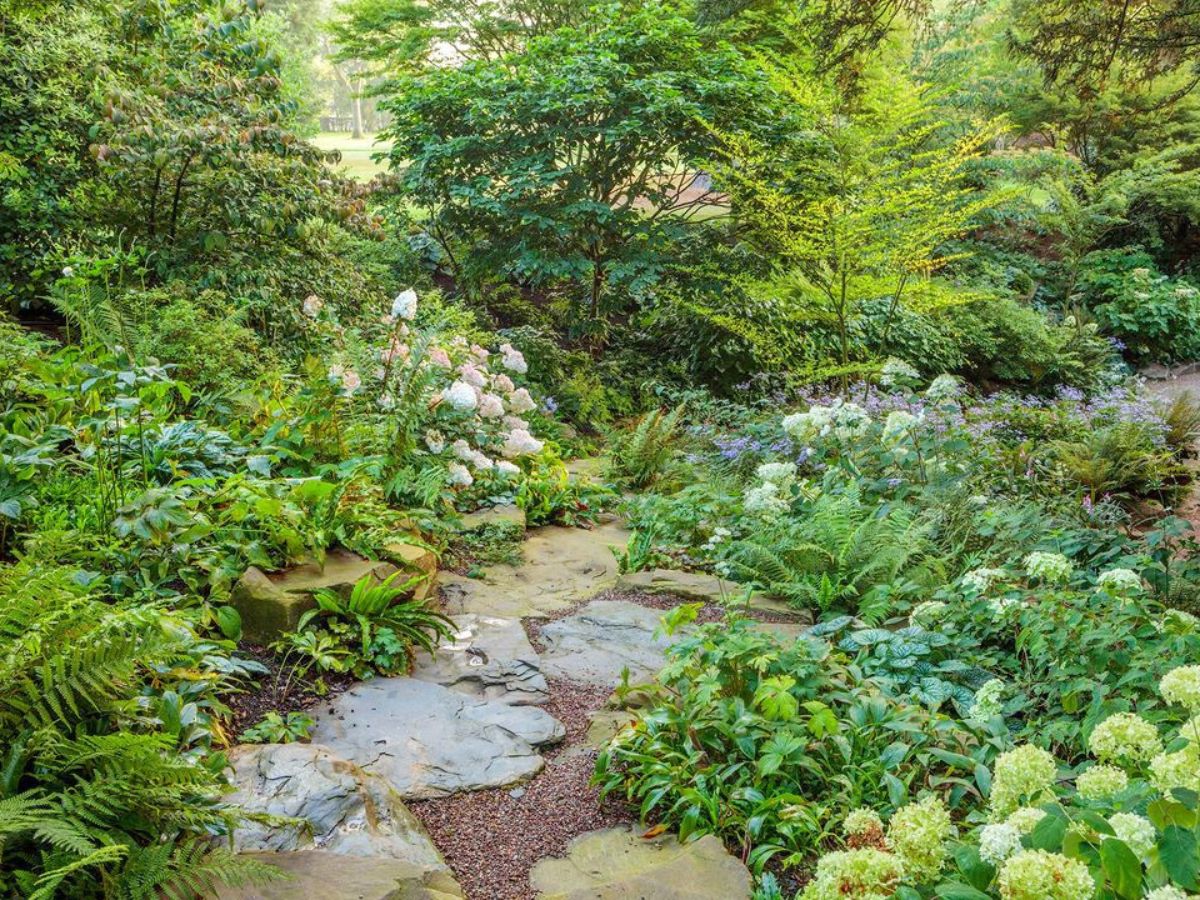 Rocks in the middle of a shaded garden