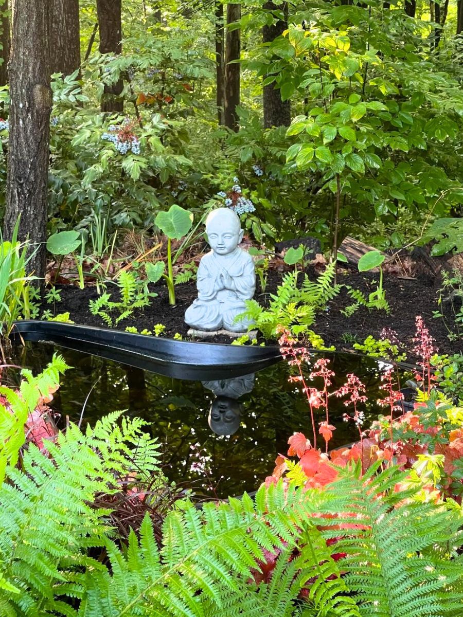 Shade garden style to meditate with Buddha