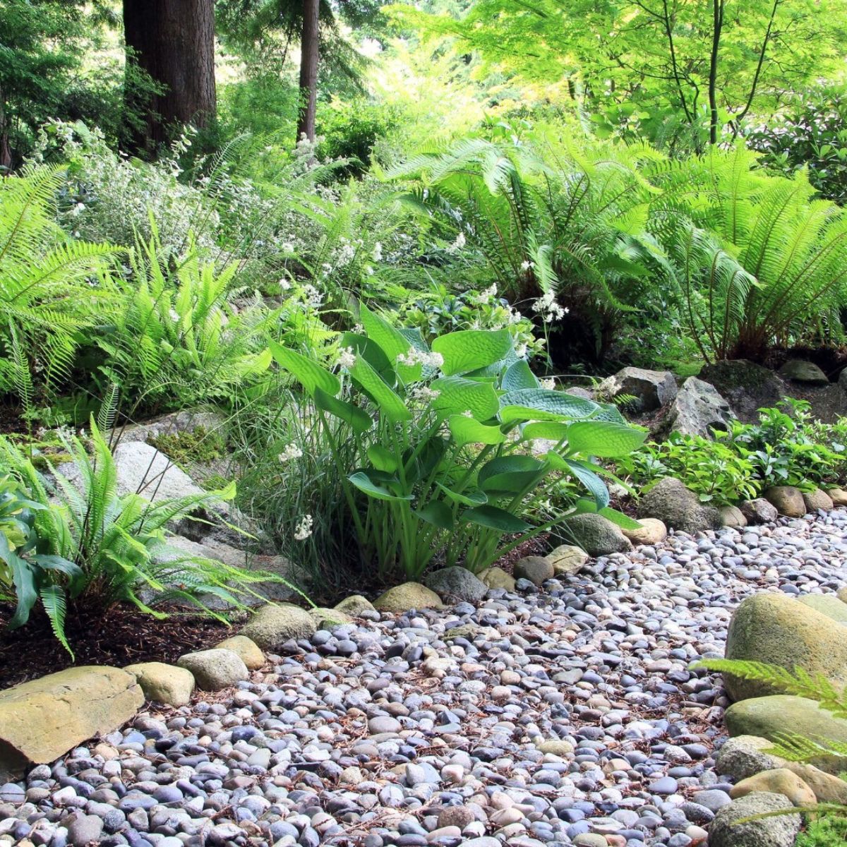 Shade garden ideas for dark spots