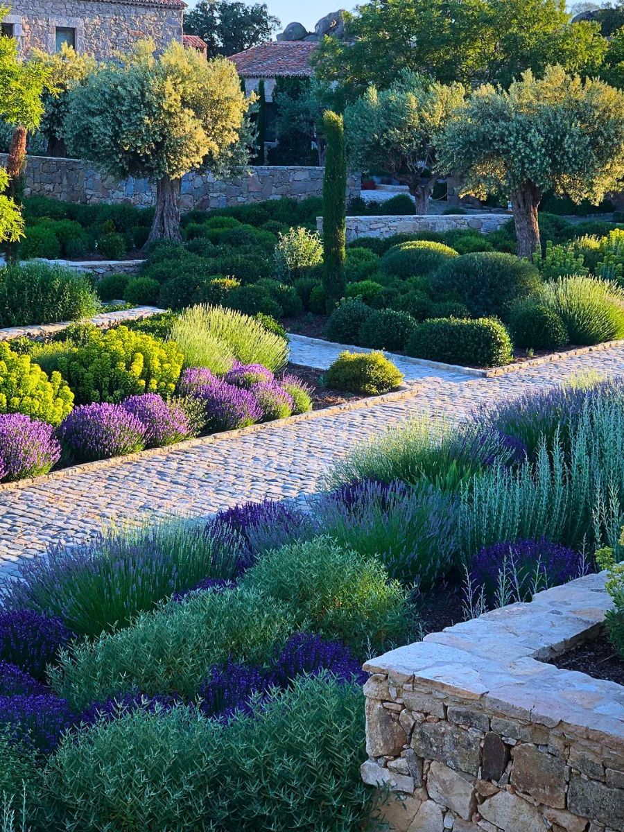 Incorporating Mediterranean Gardens Into Your Home