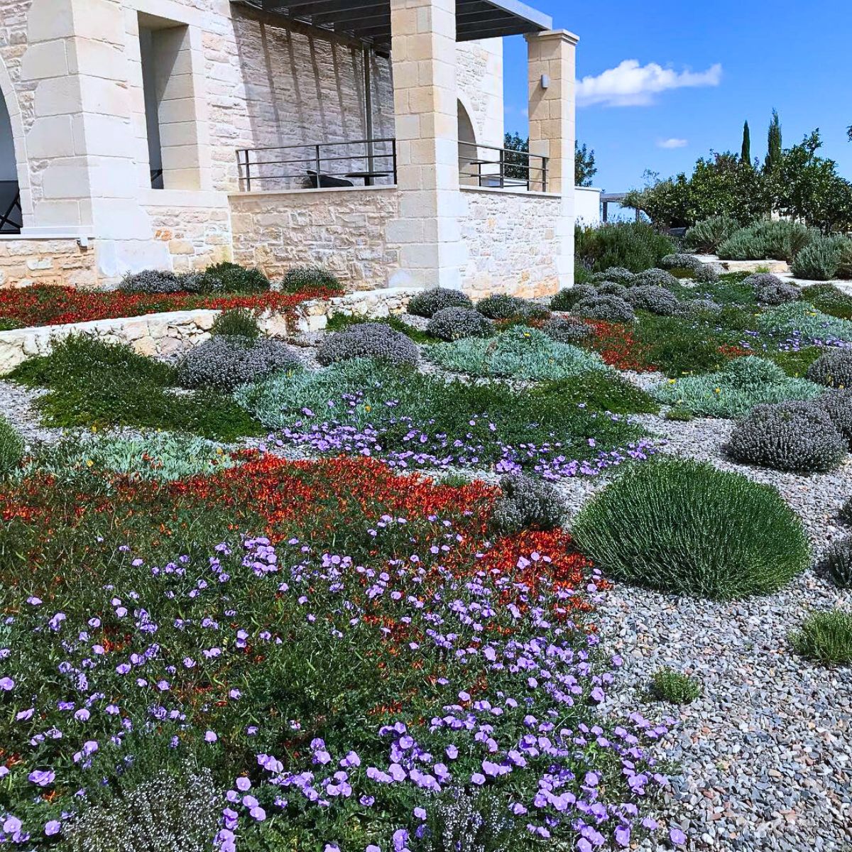 Incorporating Mediterranean Gardens Into Your Home