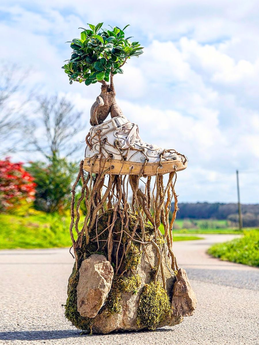 Bonzai sneaker on a road