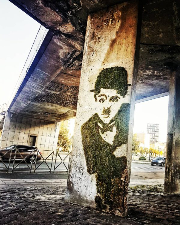 The Art of Moss Graffiti and How to Do it Yourself Charlie Chaplin