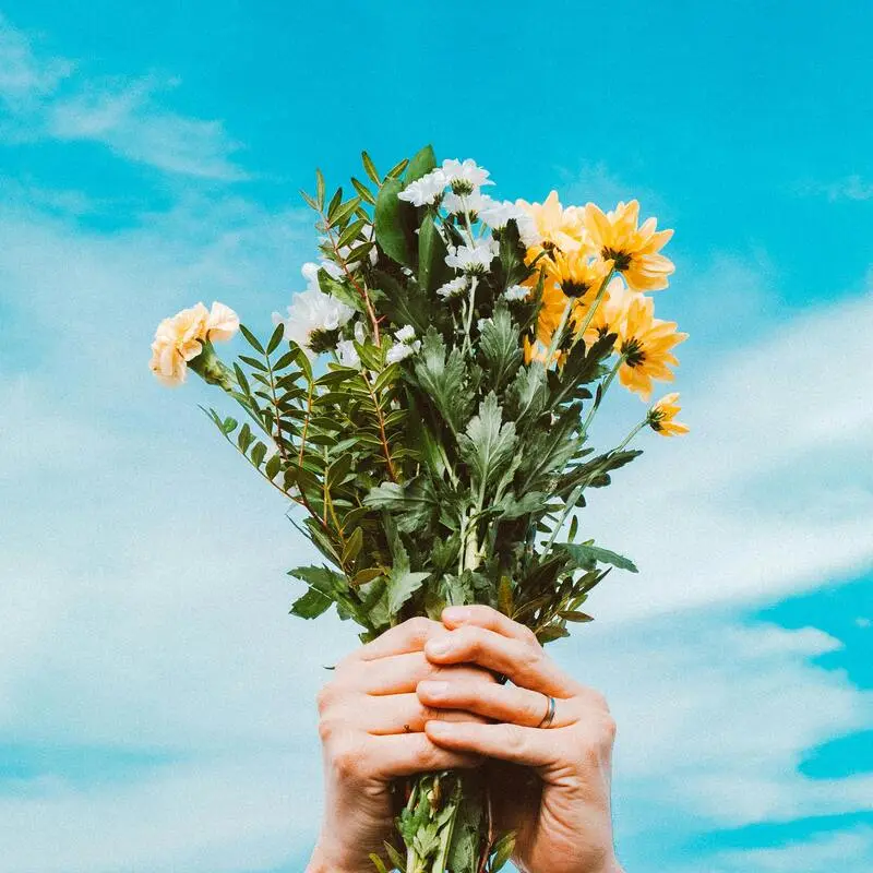 flower bouquet