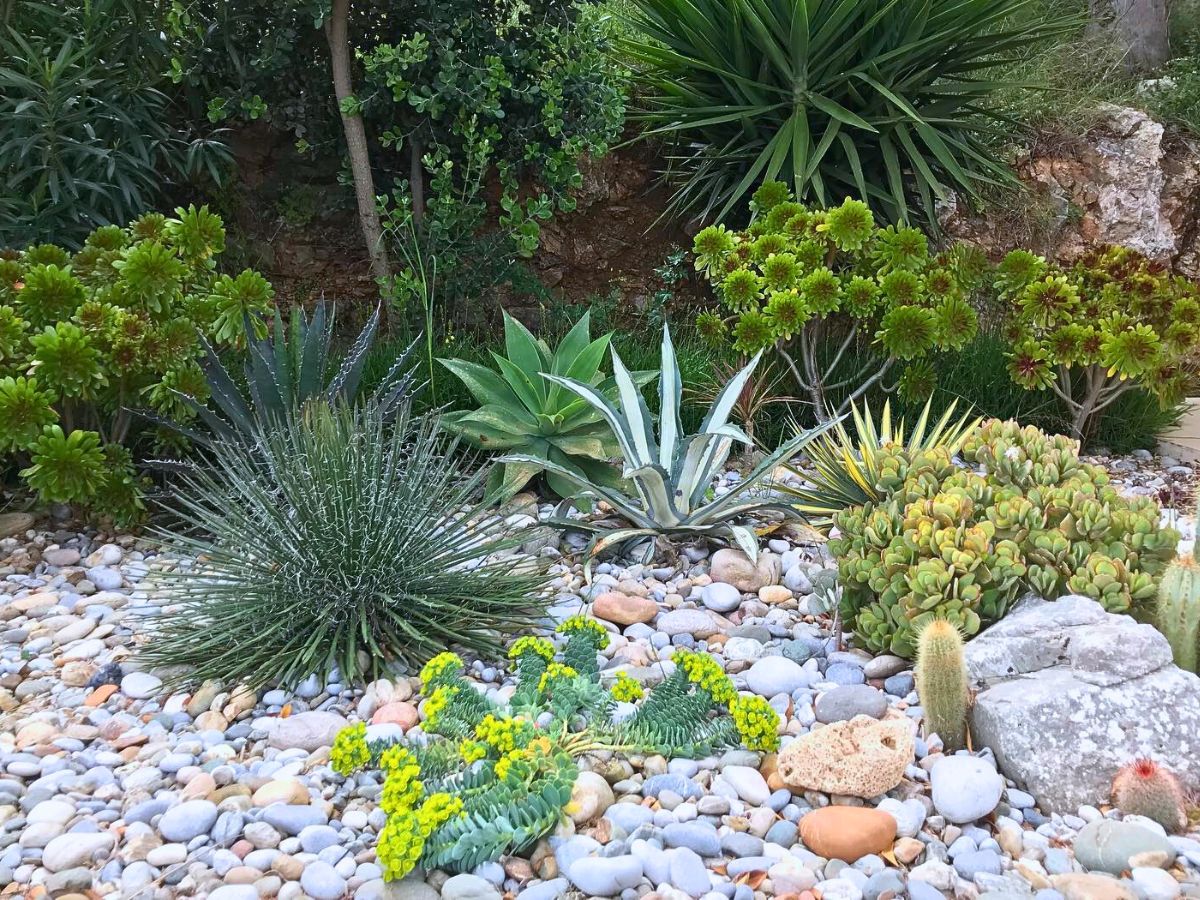 Incorporating Mediterranean Gardens Into Your Home