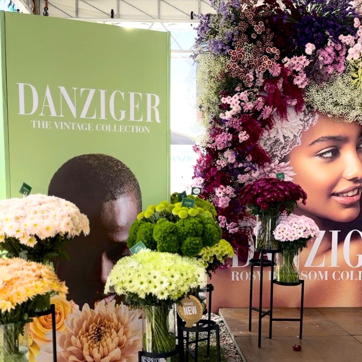 Danziger display for Chrysanthemum Week