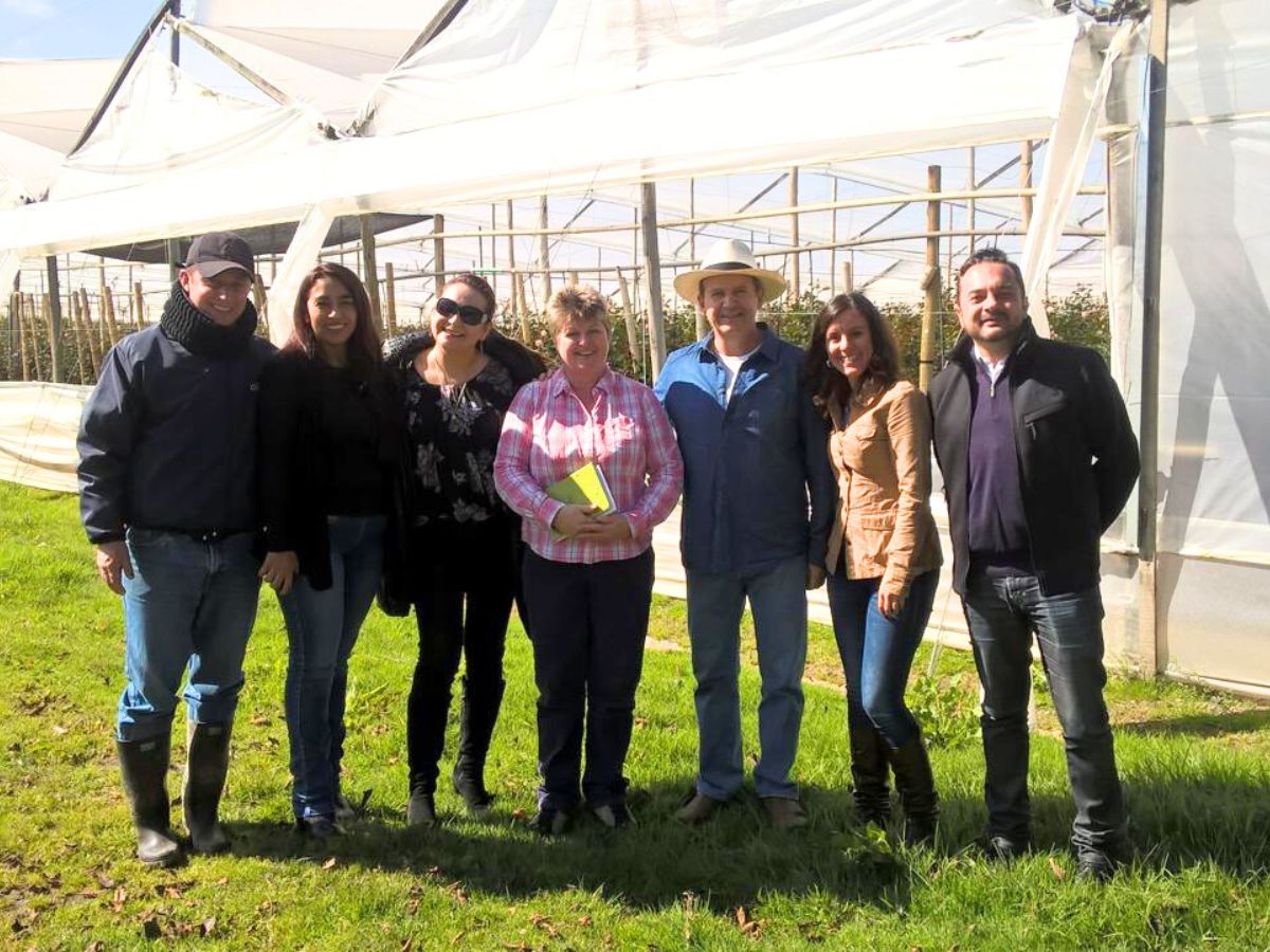 Angela with colleagues and visitors