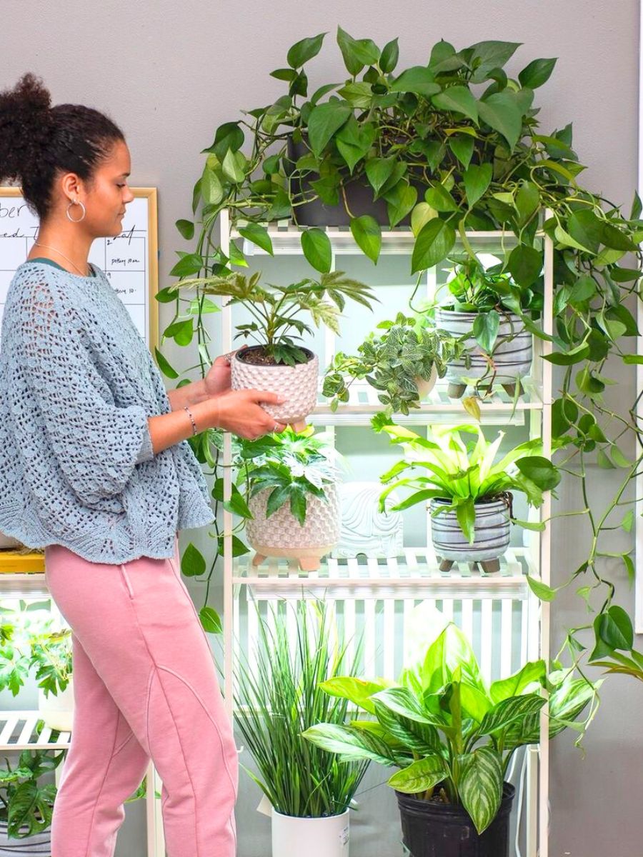 Woman taking care of her indoor plants