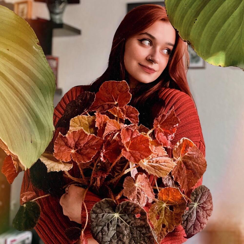 Lady holding autumn plant