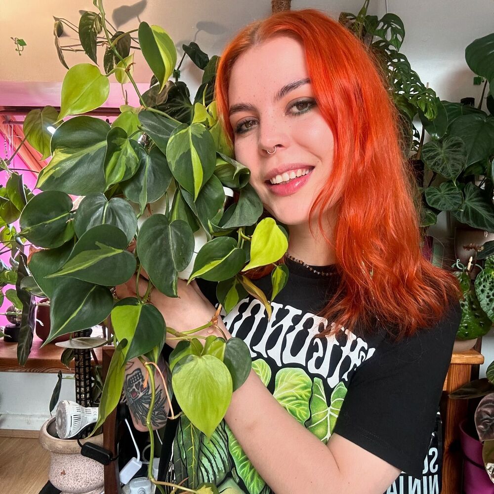 Lady holding indoor green plant