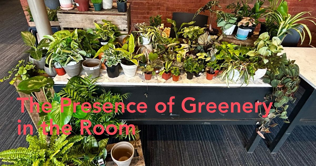 Role of houseplants