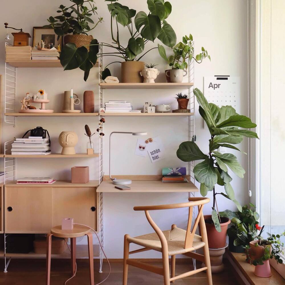 plant decoration in study room