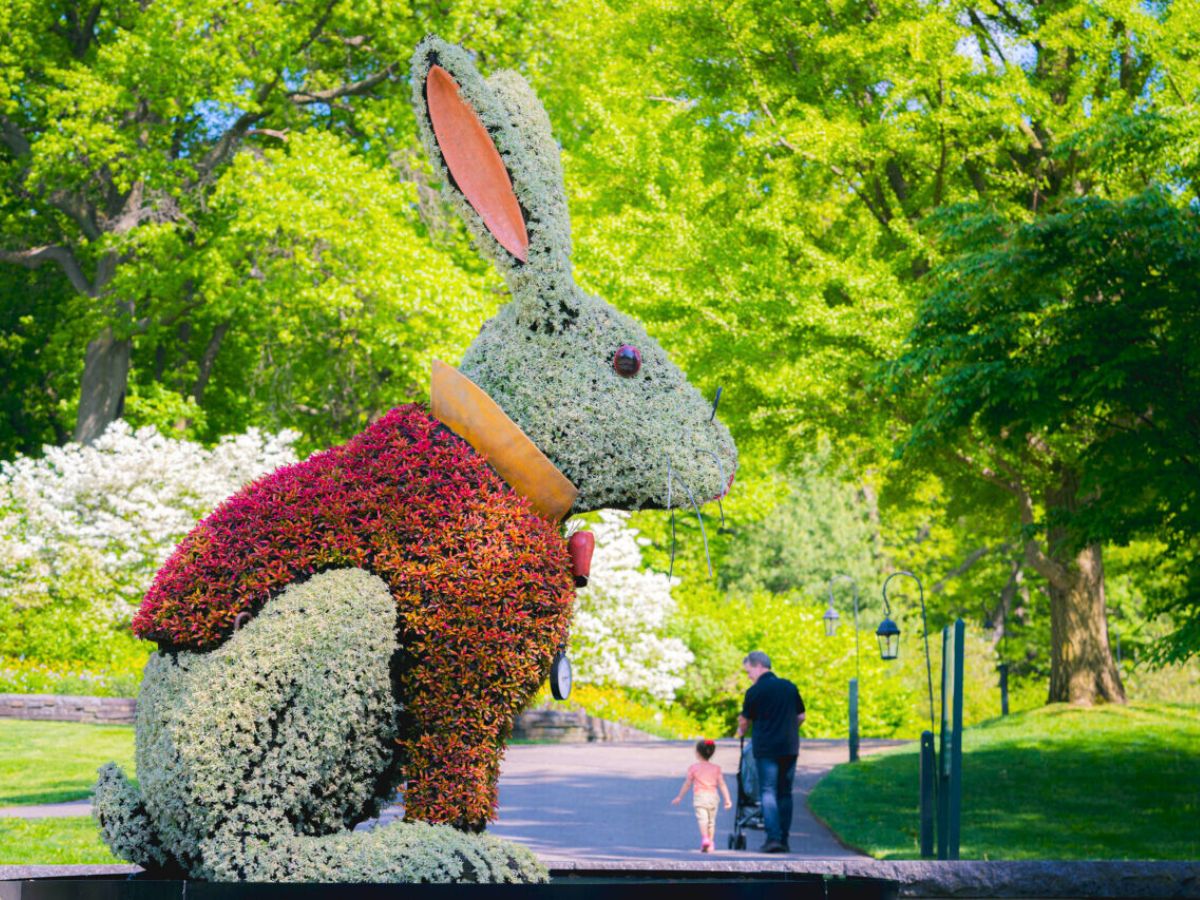 Alice in Wonderland rabbit