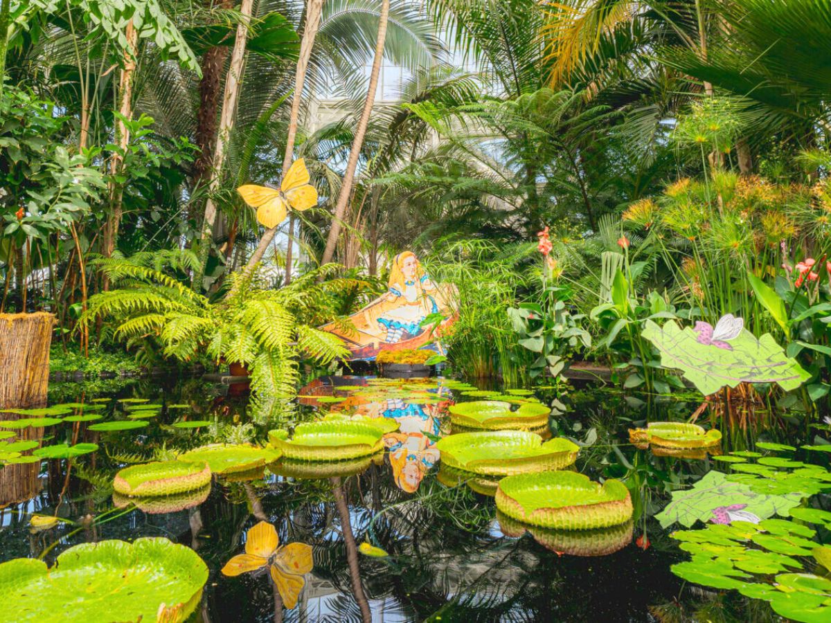 NYBG themed indoor pond with water lilies