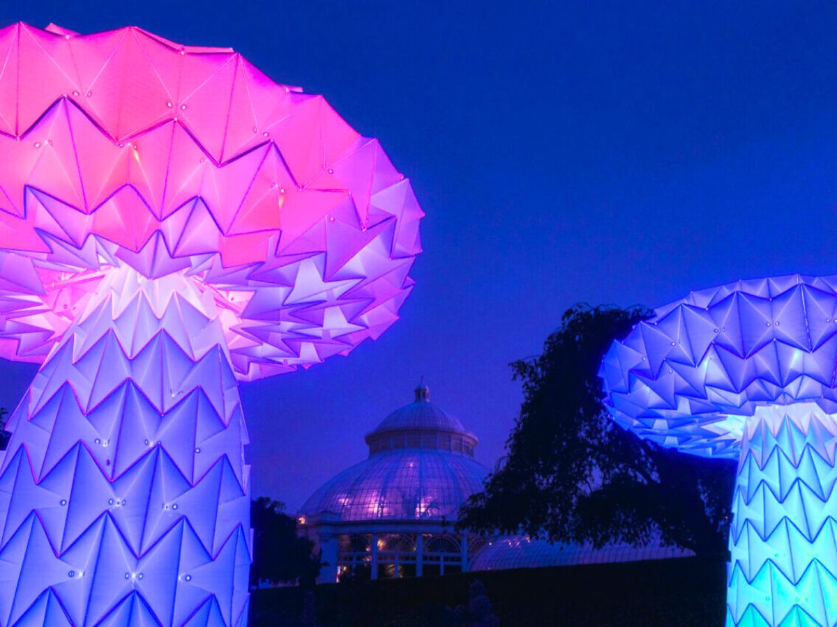 Illuminated mushrooms at NYBG