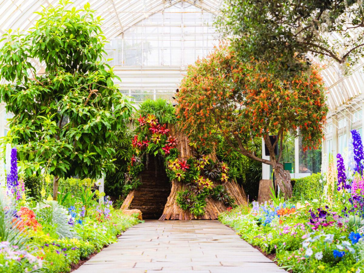 Colorful flowers and plants at the NYBG