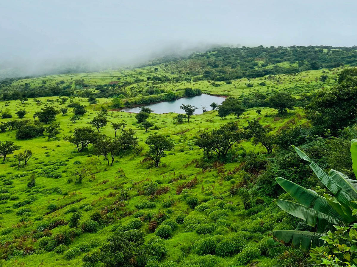 Kas Plateau India foggy