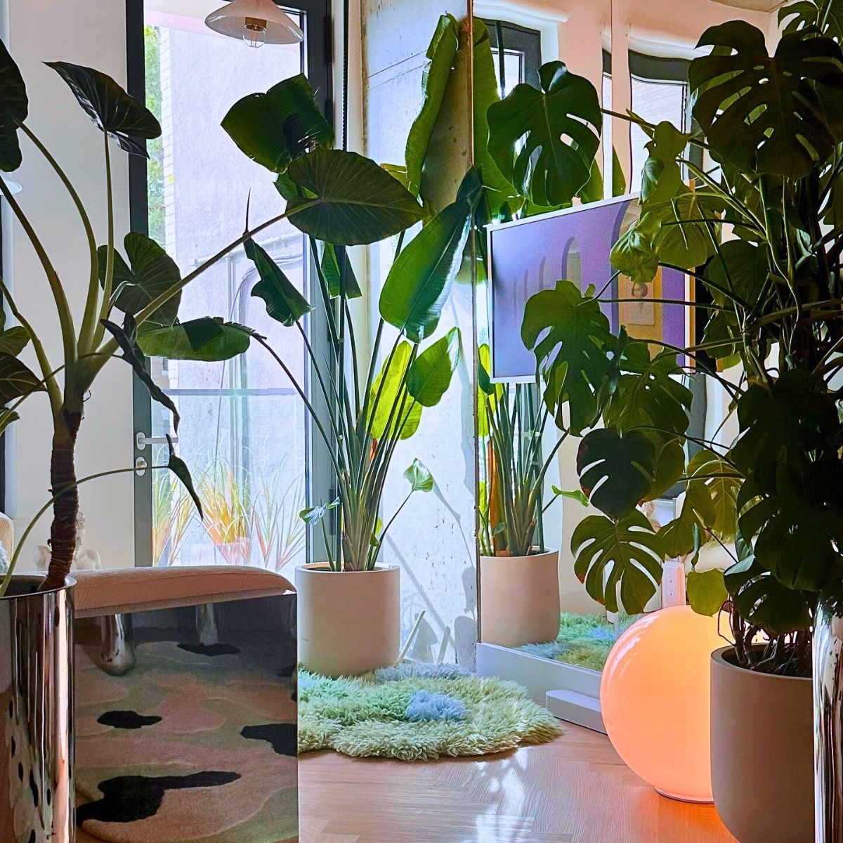 Houseplants and Interior Plants for an Exquisite Postmodern Interior Design