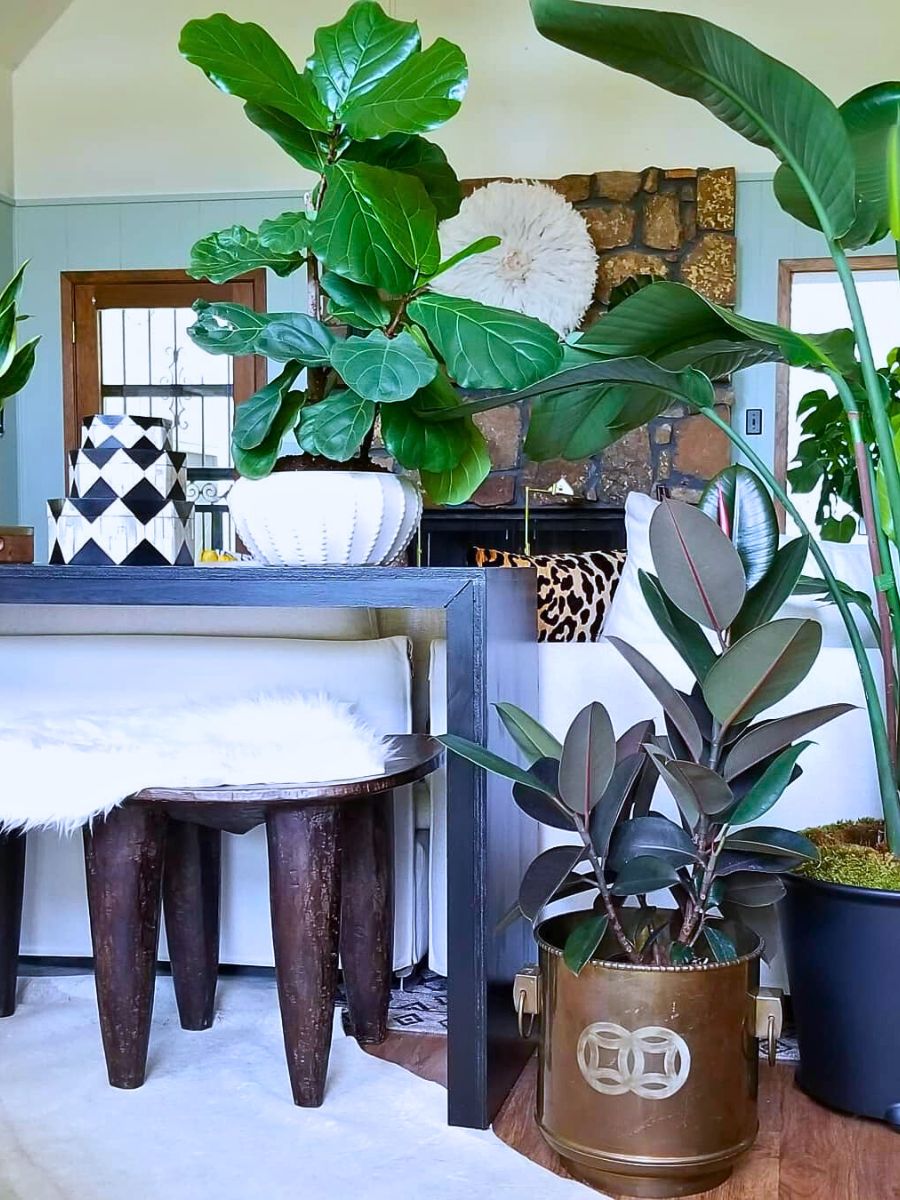 Houseplants and Interior Plants for an Exquisite Postmodern Interior Design