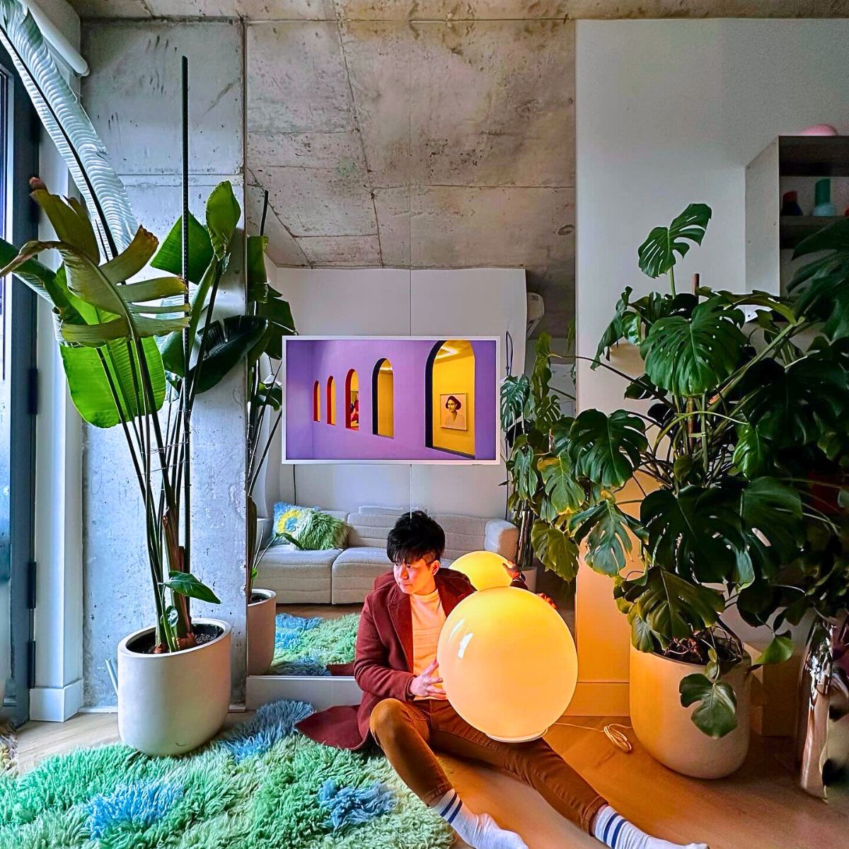 Houseplants and Interior Plants for an Exquisite Postmodern Interior Design