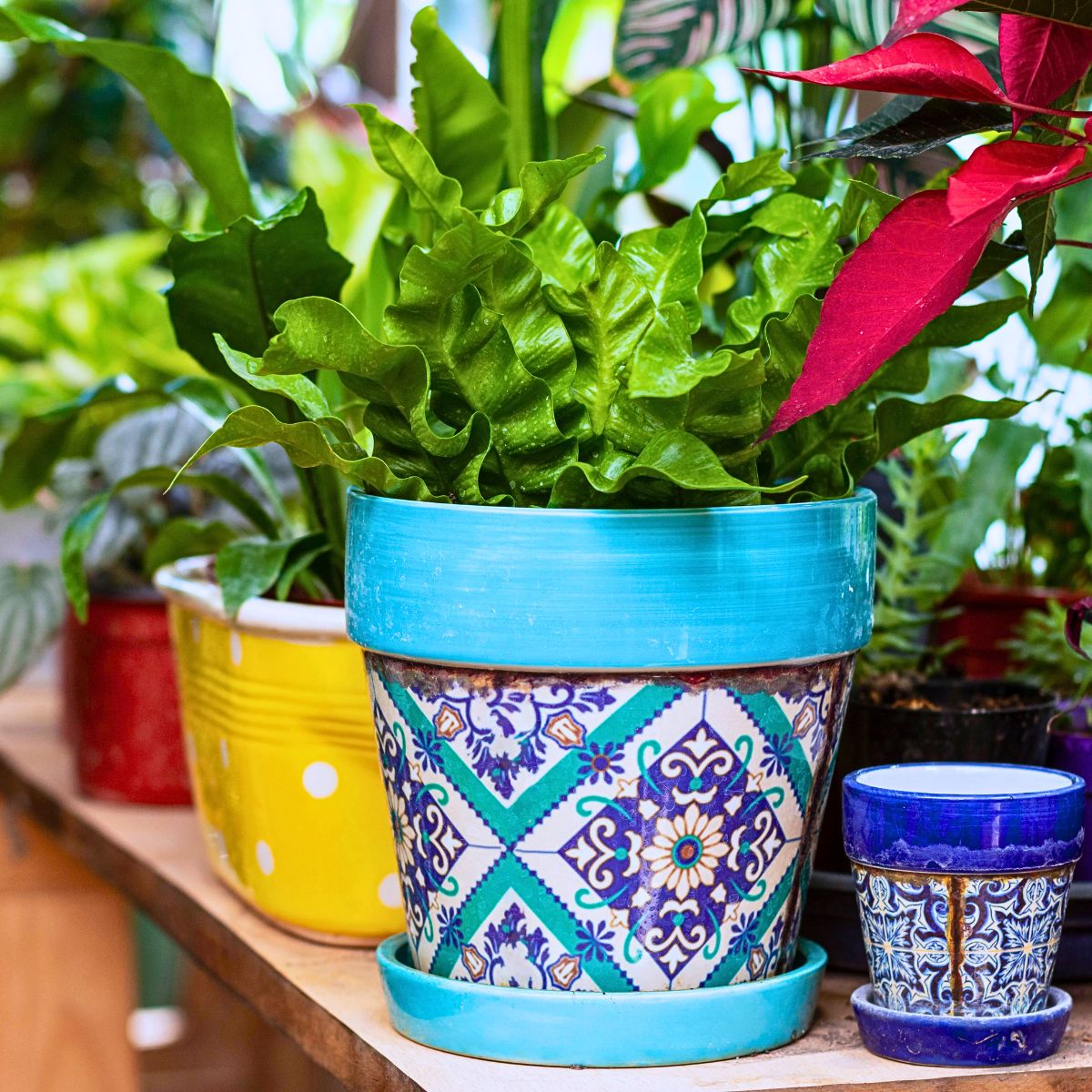 Decorated pots