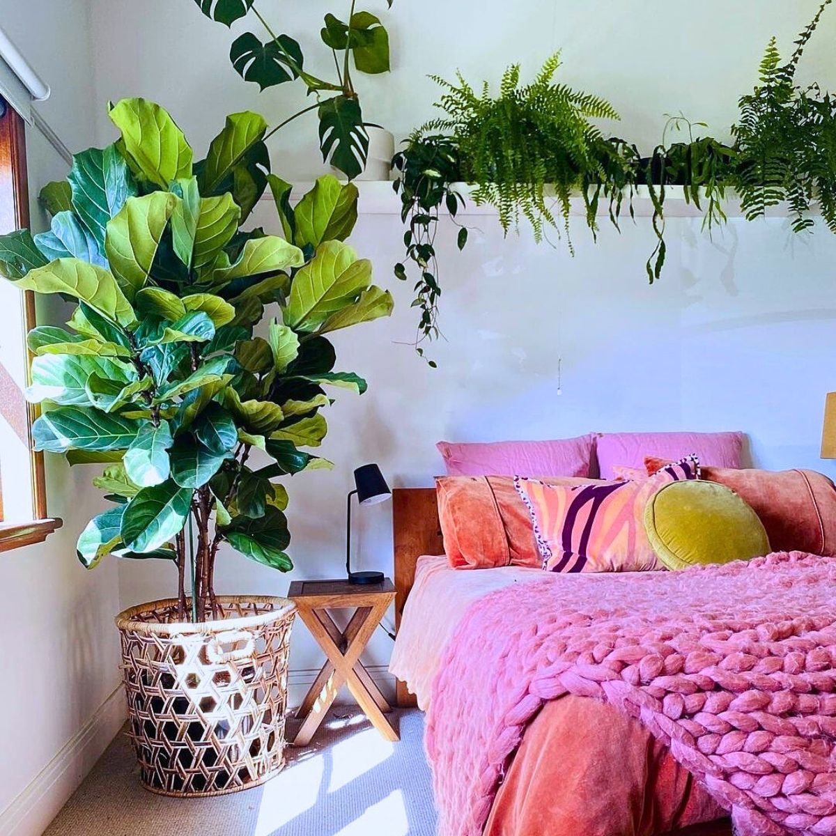 Houseplants and Interior Plants for an Exquisite Postmodern Interior Design