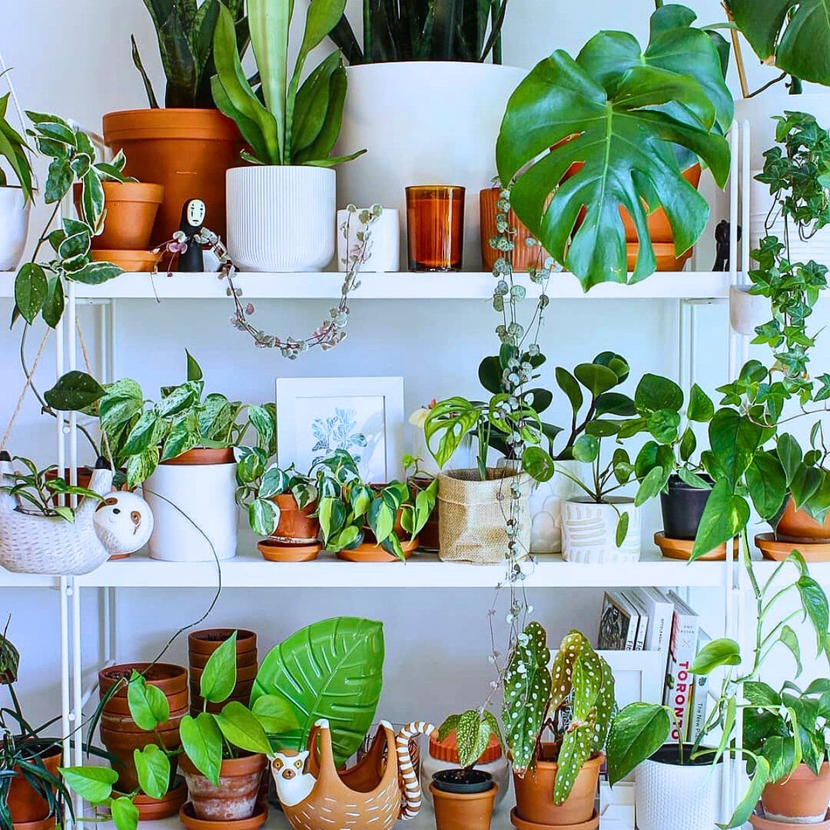 Houseplants and Interior Plants for an Exquisite Postmodern Interior Design