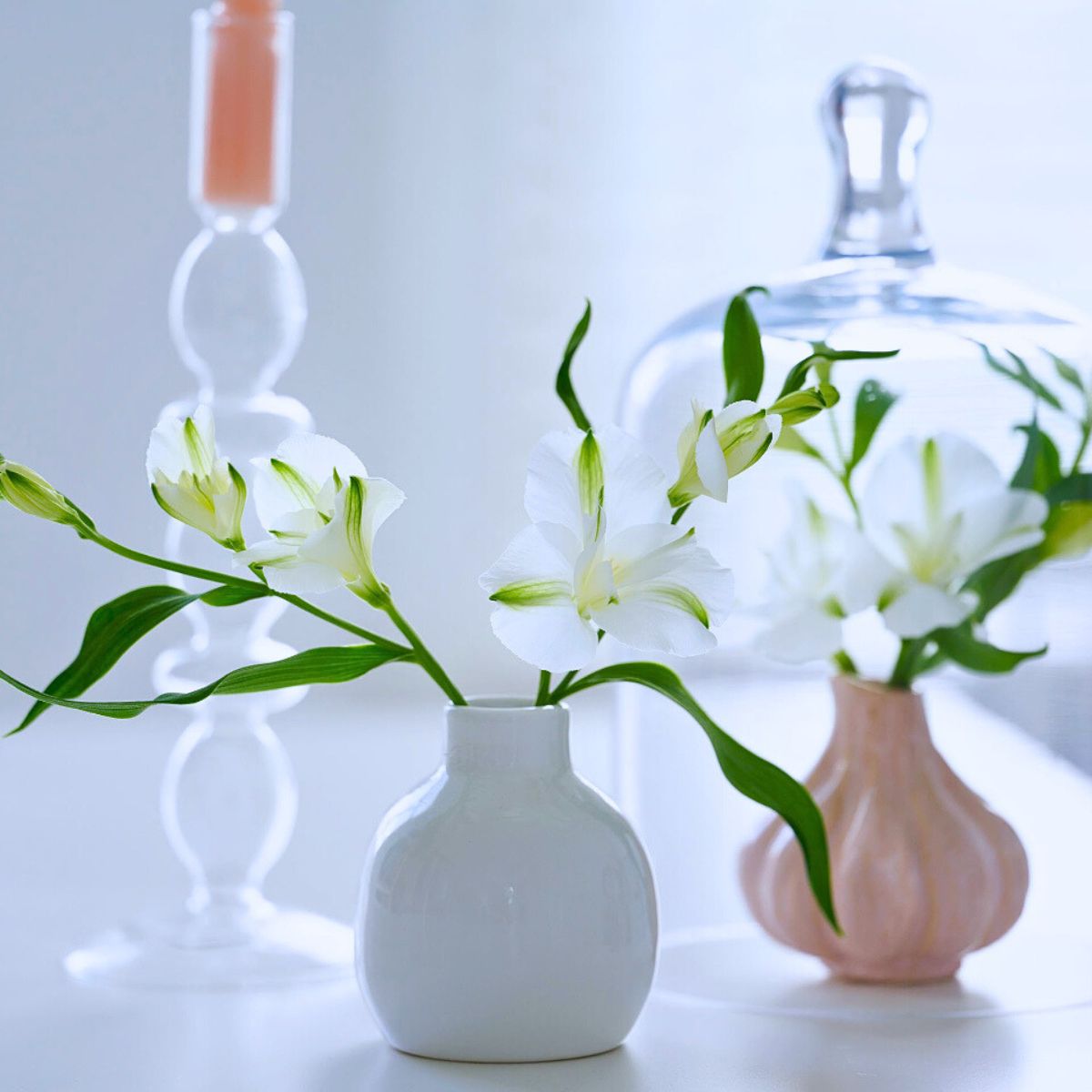 Royal Van Zanten’s Charmelia Apricot Adds an Extra Charm to the Elegance of Floral Arrangements