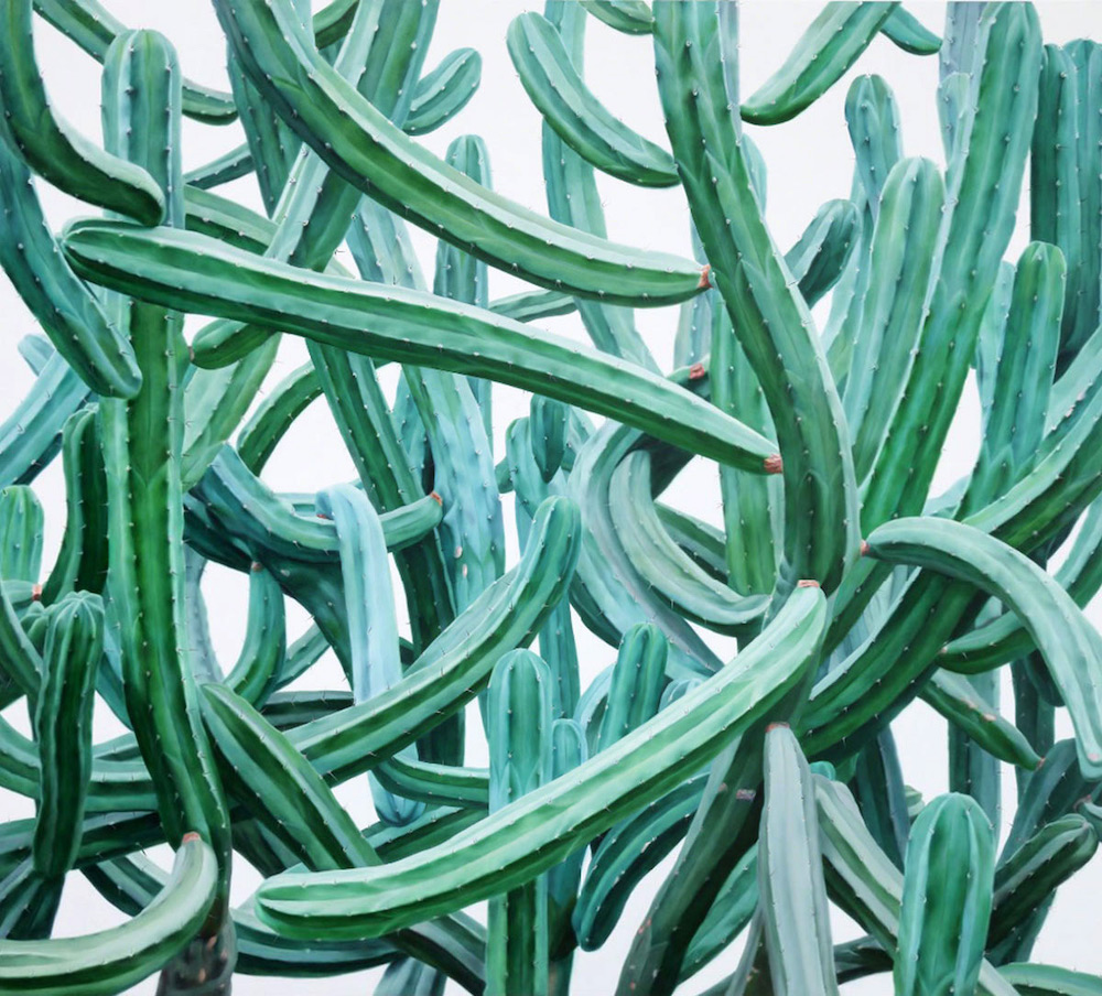 Kwang-ho Lee Brings Cacti to Life in His Giant Paintings Cactus Painting