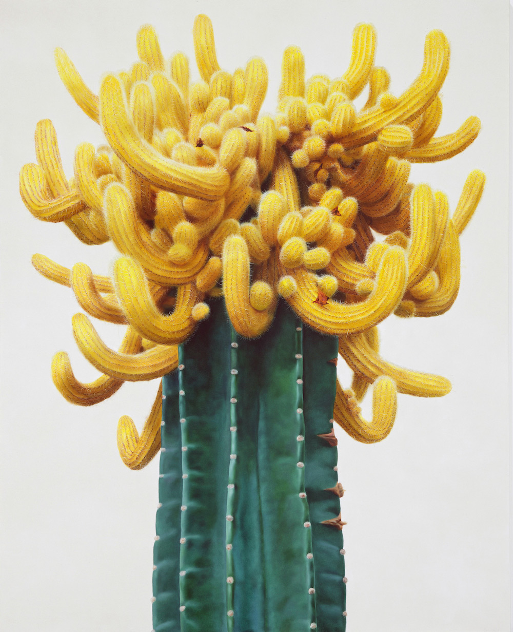 Kwang-ho Lee Brings Cacti to Life in His Giant Paintings Big Cacti Art