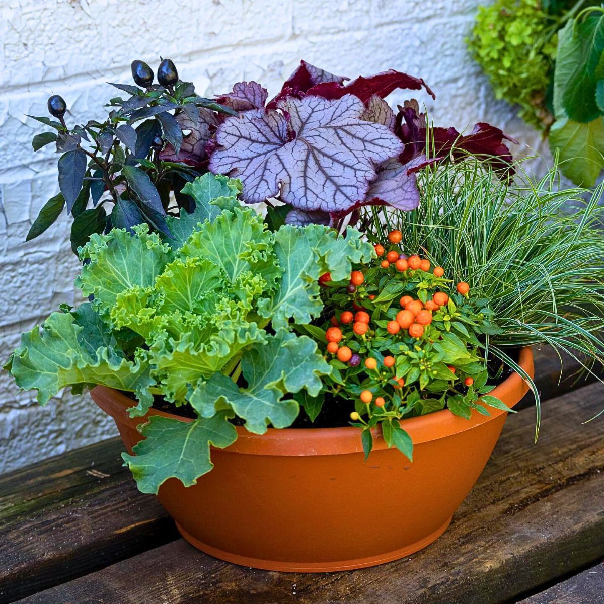 How to Gradually Transition Your Garden From Summer to Autumn