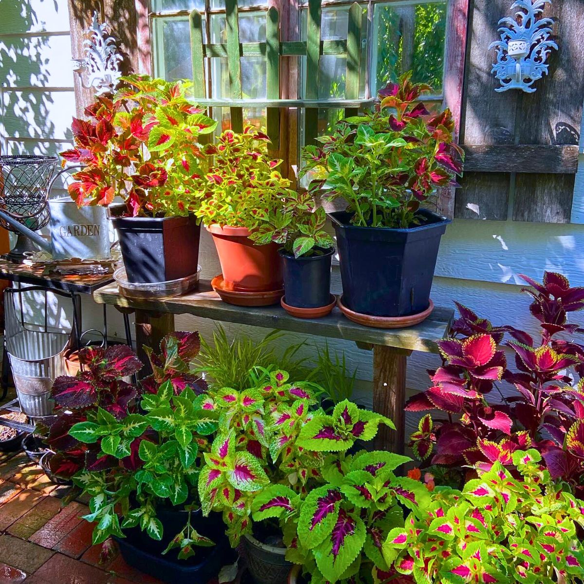 How to Gradually Transition Your Garden From Summer to Autumn