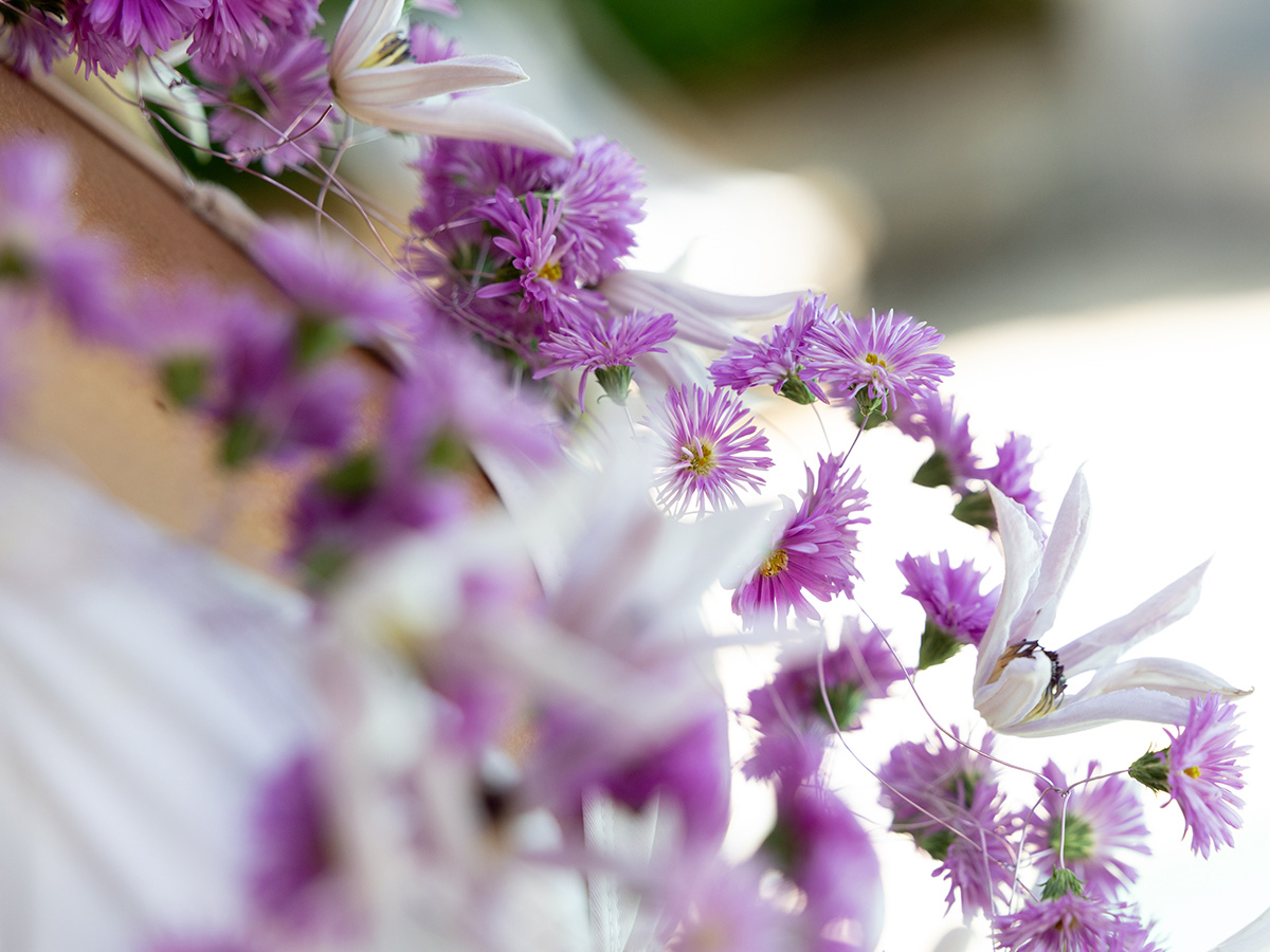 Paradise by the Water design details Asters and Clematis Miami