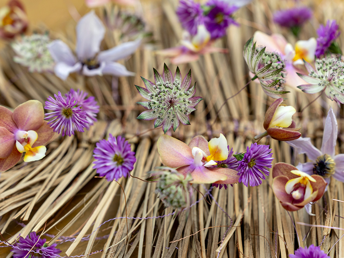 Bamboo Fan Astrantia Phalaenopsis details