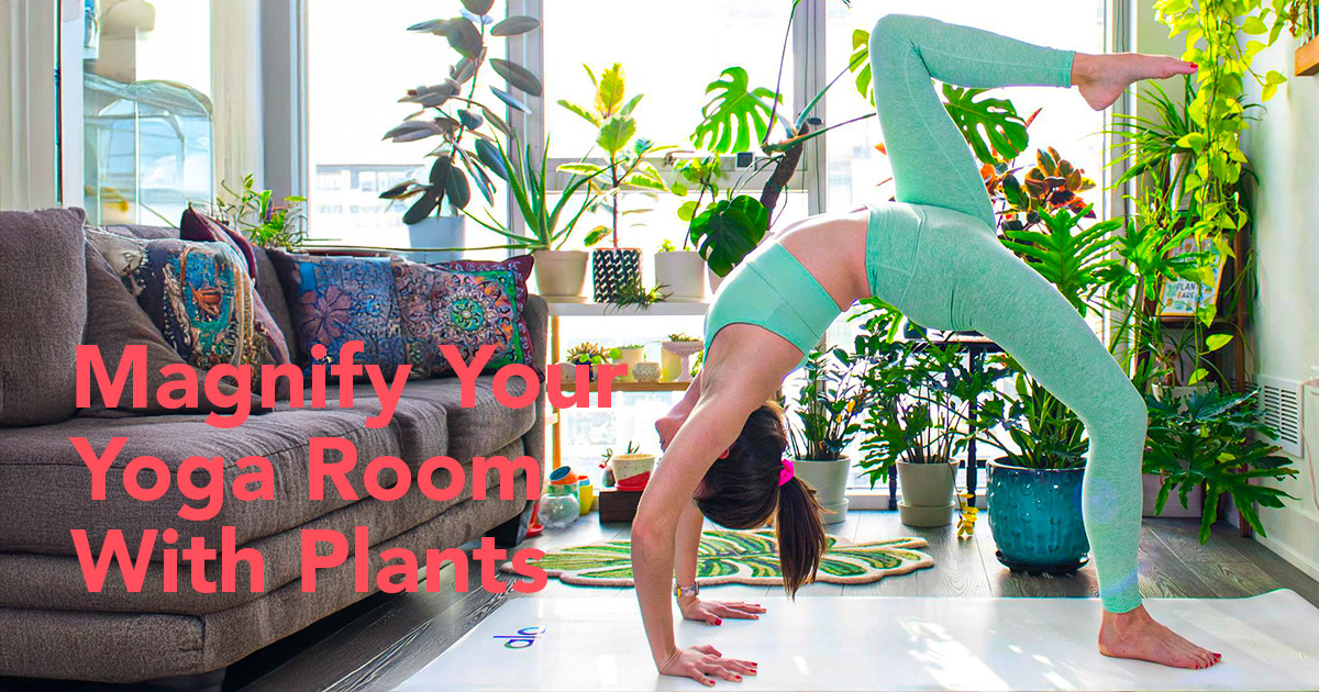 Plants in yoga studios