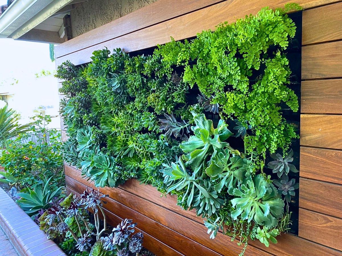 Vertical Gardens Offer Many Health Benefits You Should Know About