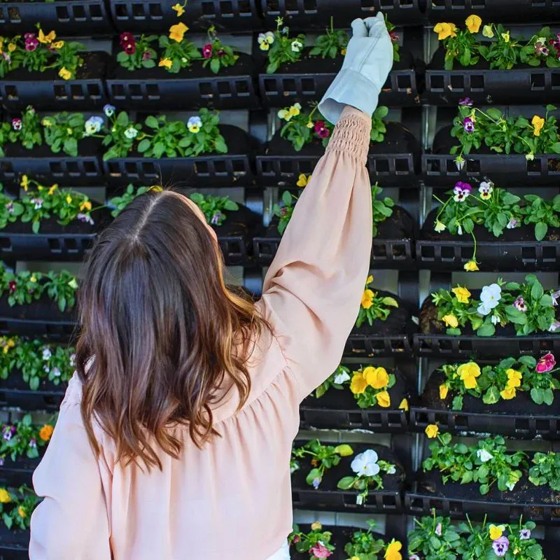 Vertical Gardens Offer Many Health Benefits You Should Know About