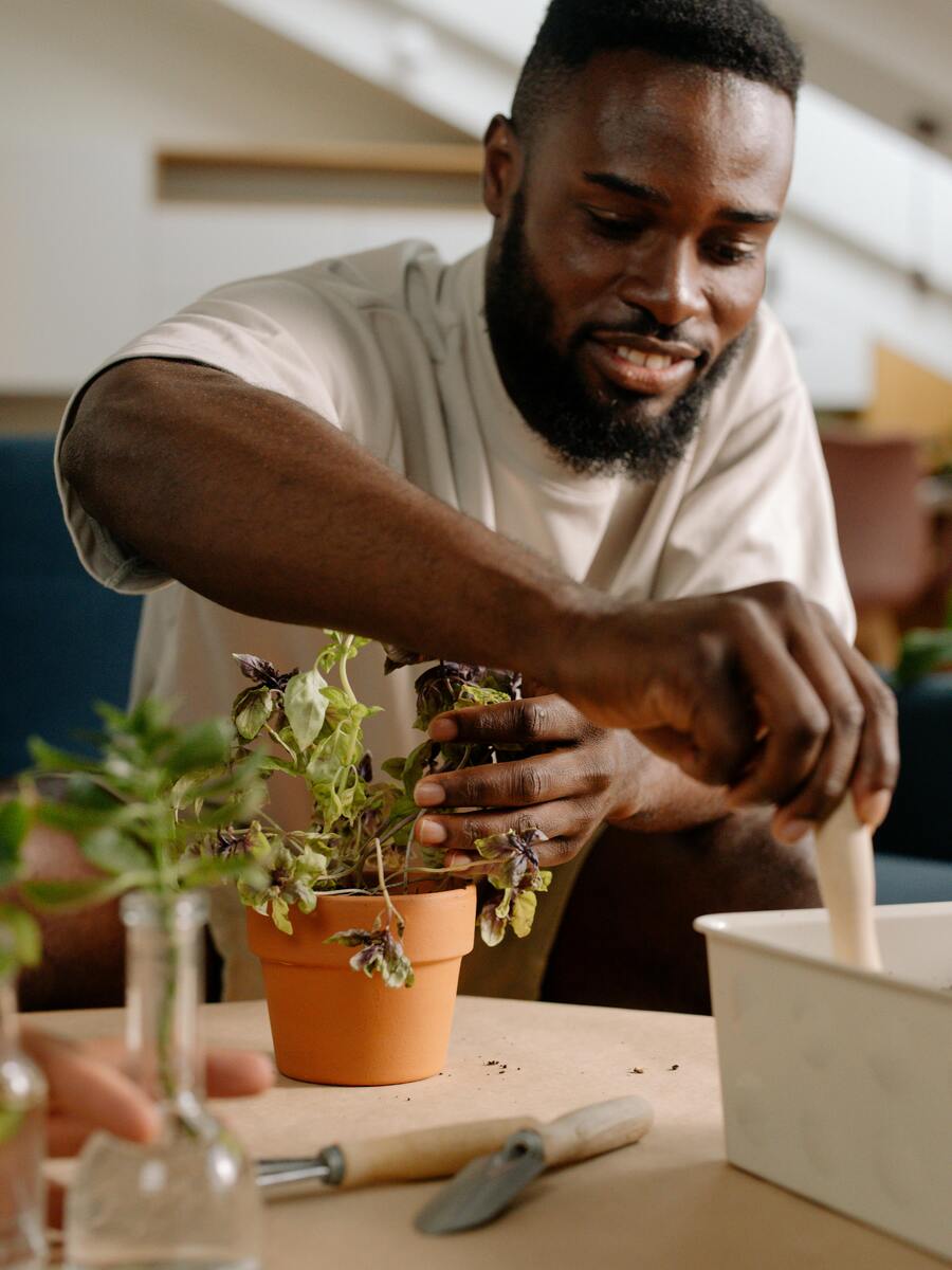 Man caring indoor plant