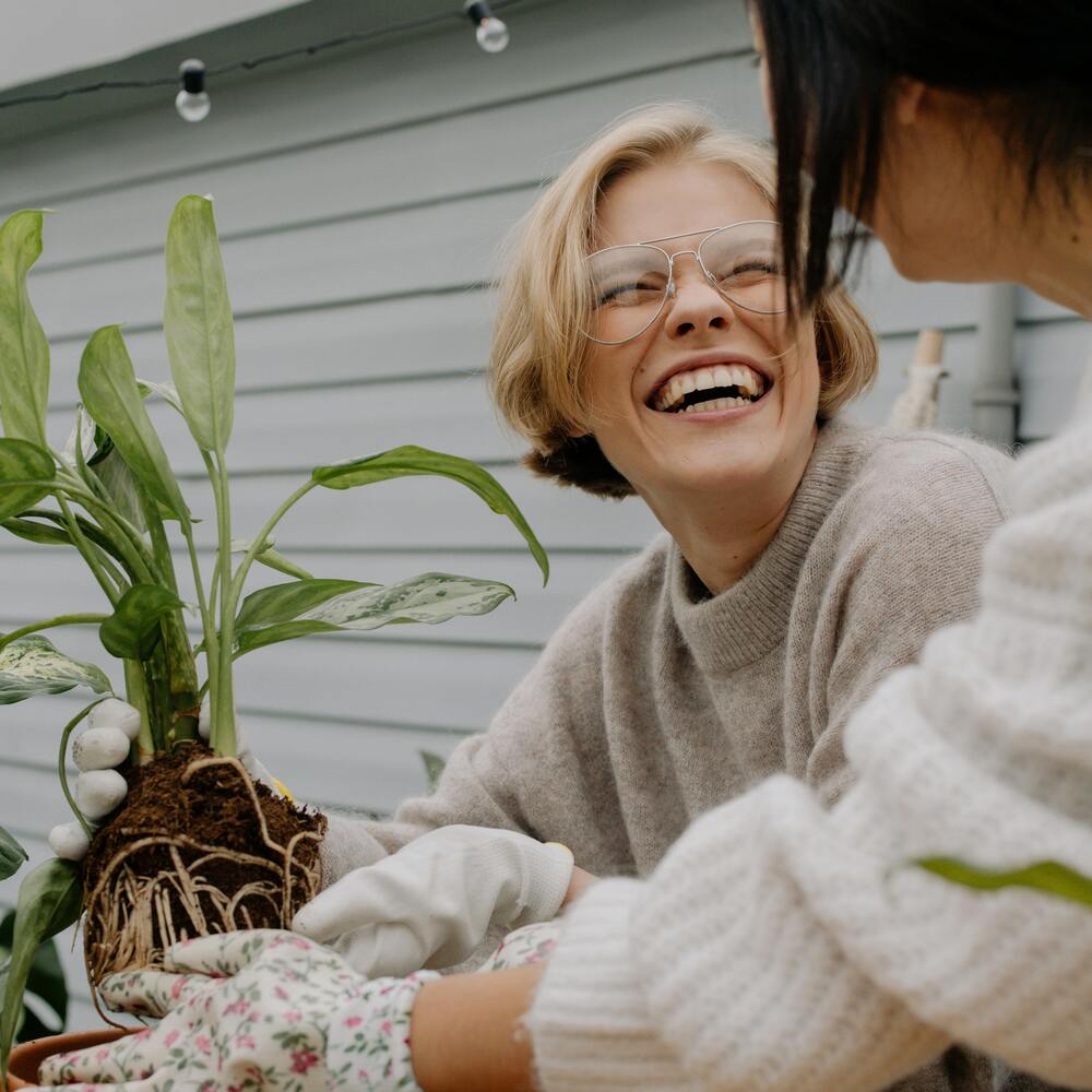 lady planting new plant at home