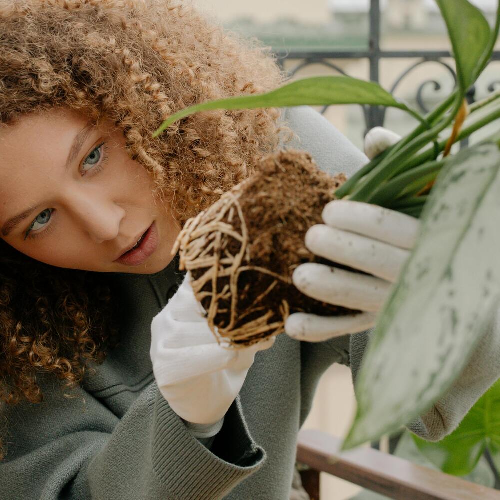 Lady checking their plant root