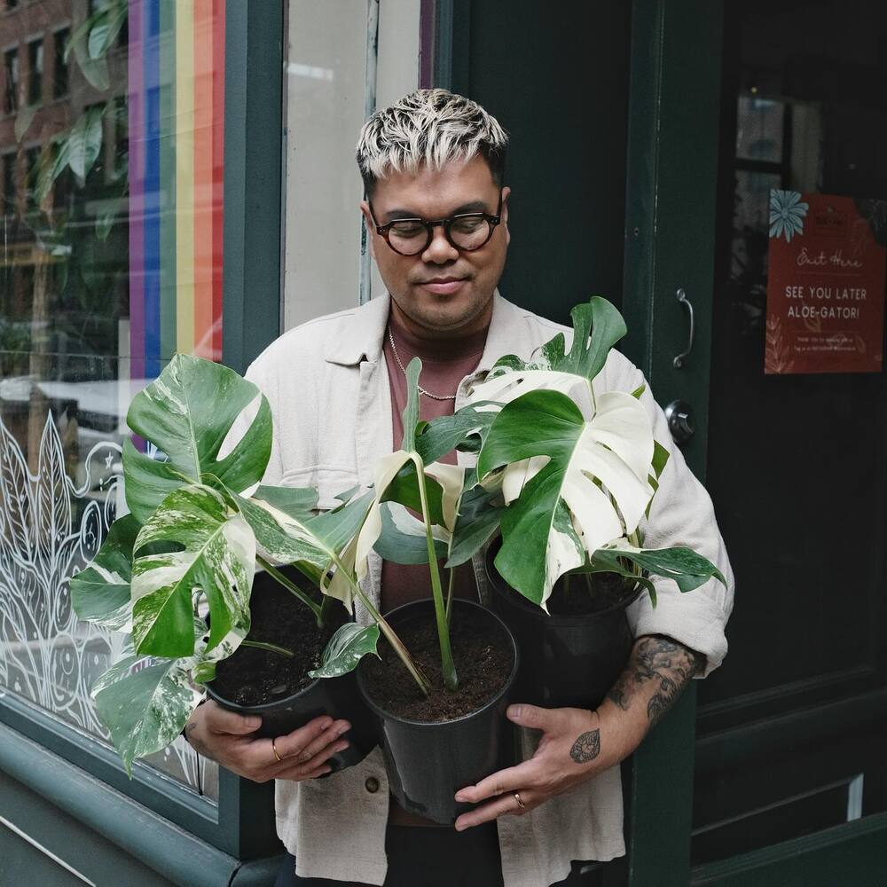 Men holding small indoor plants for home