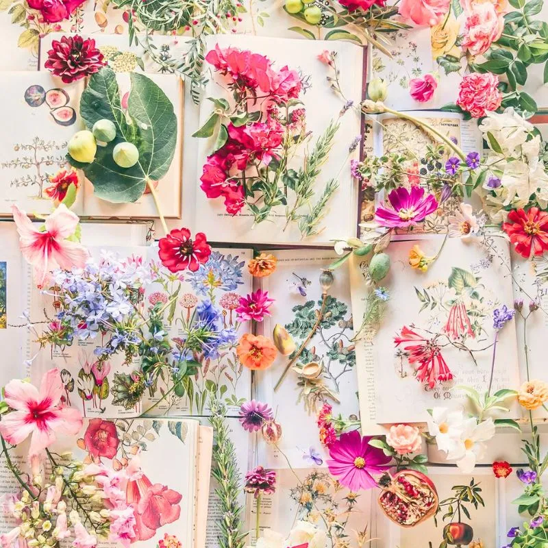 Flowers sitting on books