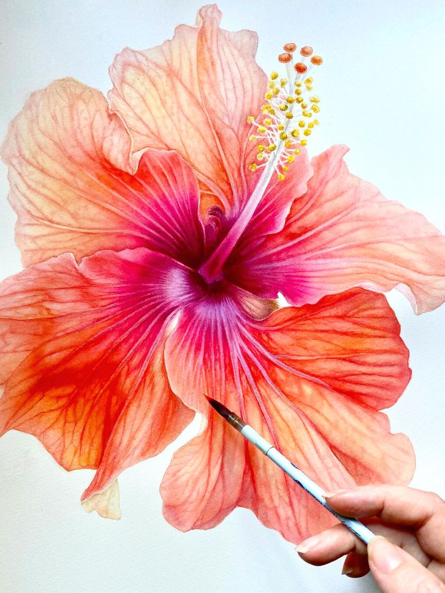 Hibiscus aquarelle painting by Tania Efimova