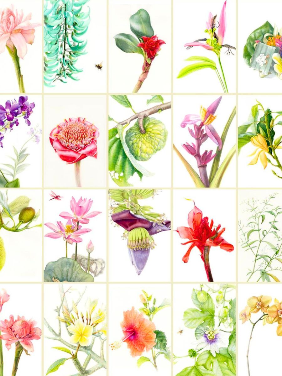 Collage of floral watercolors