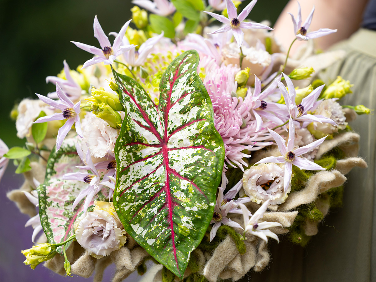 Krisztian Kover bouquet with Caladium leaf