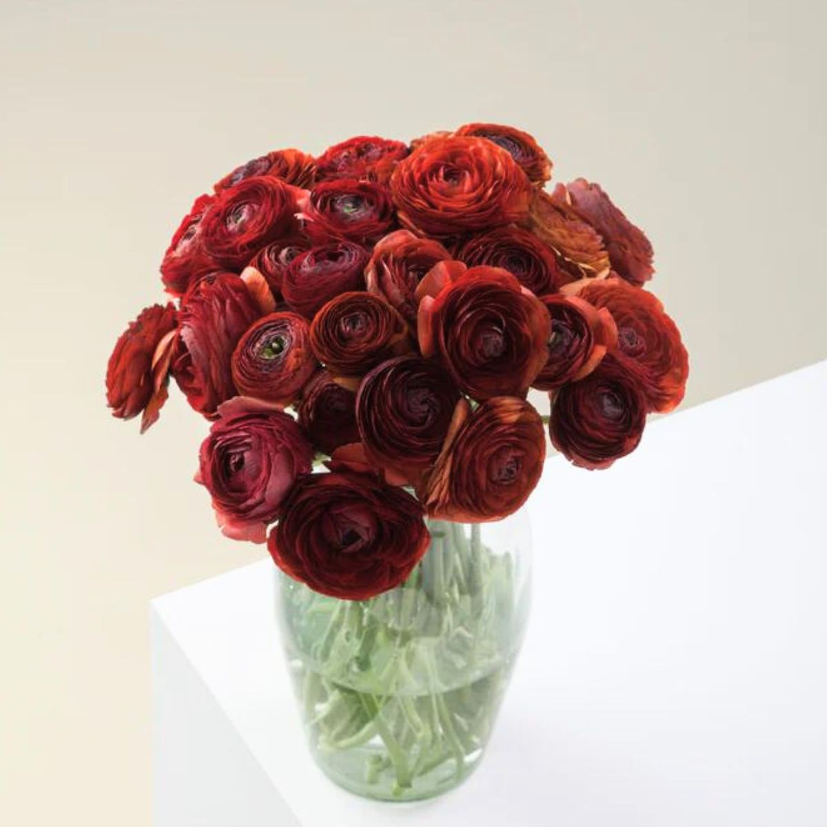 Bouquet of Floraprimas newest ranunculus variety